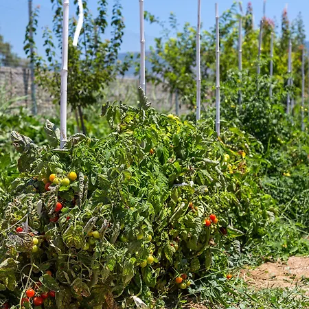 Hotell White Pearls Luxury - Adults Only